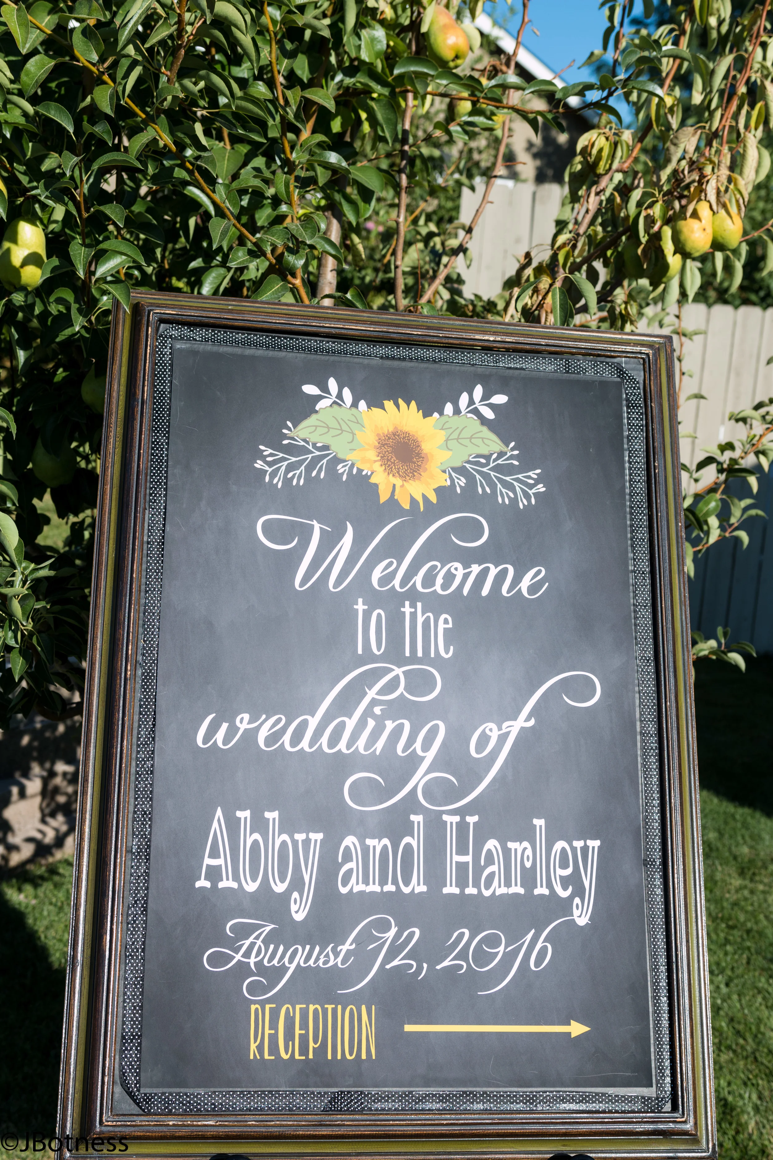 Abby_Harley_Wedding2016-7642.JPG
