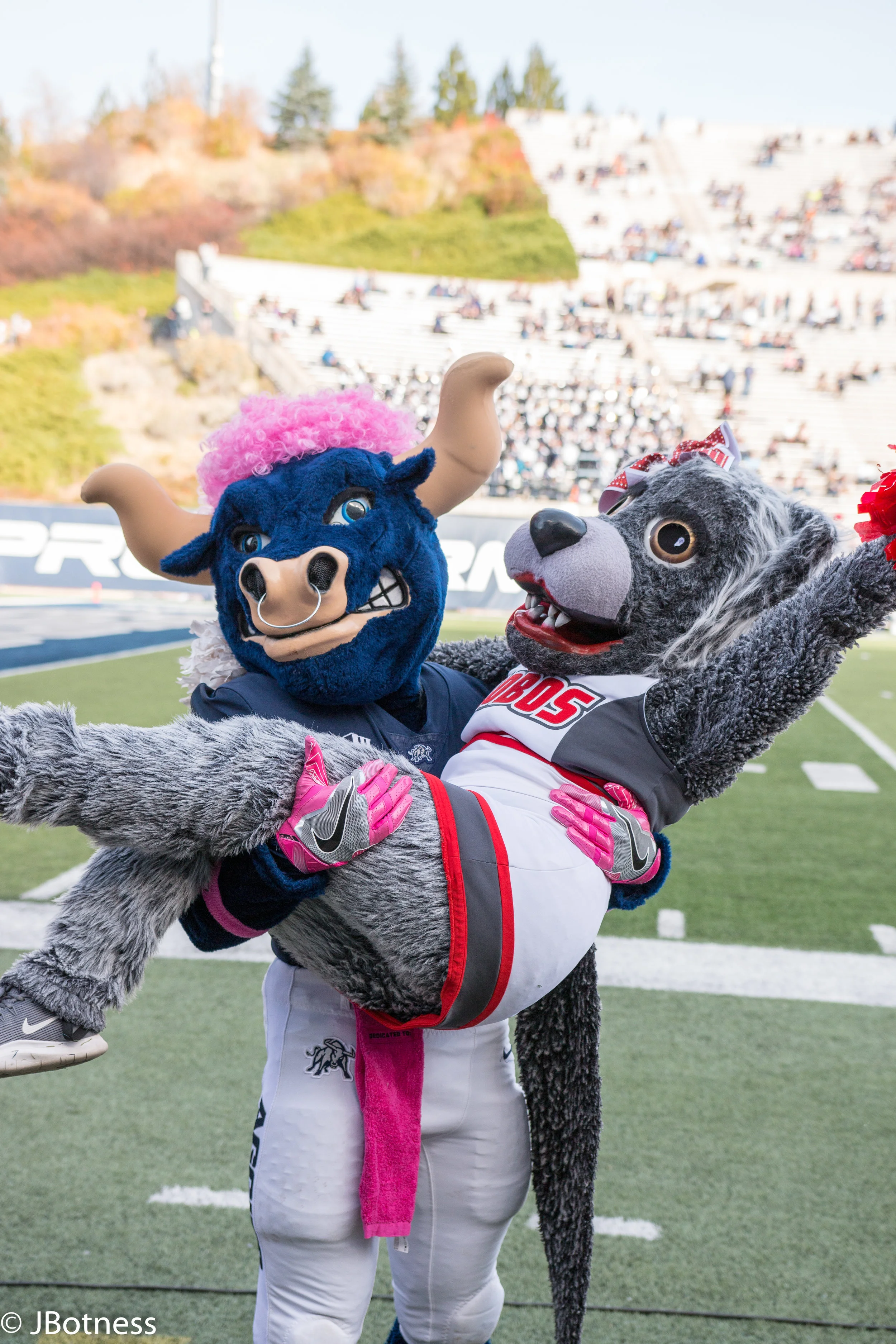 FB_USUvsNewMexico-lobos-317.jpg