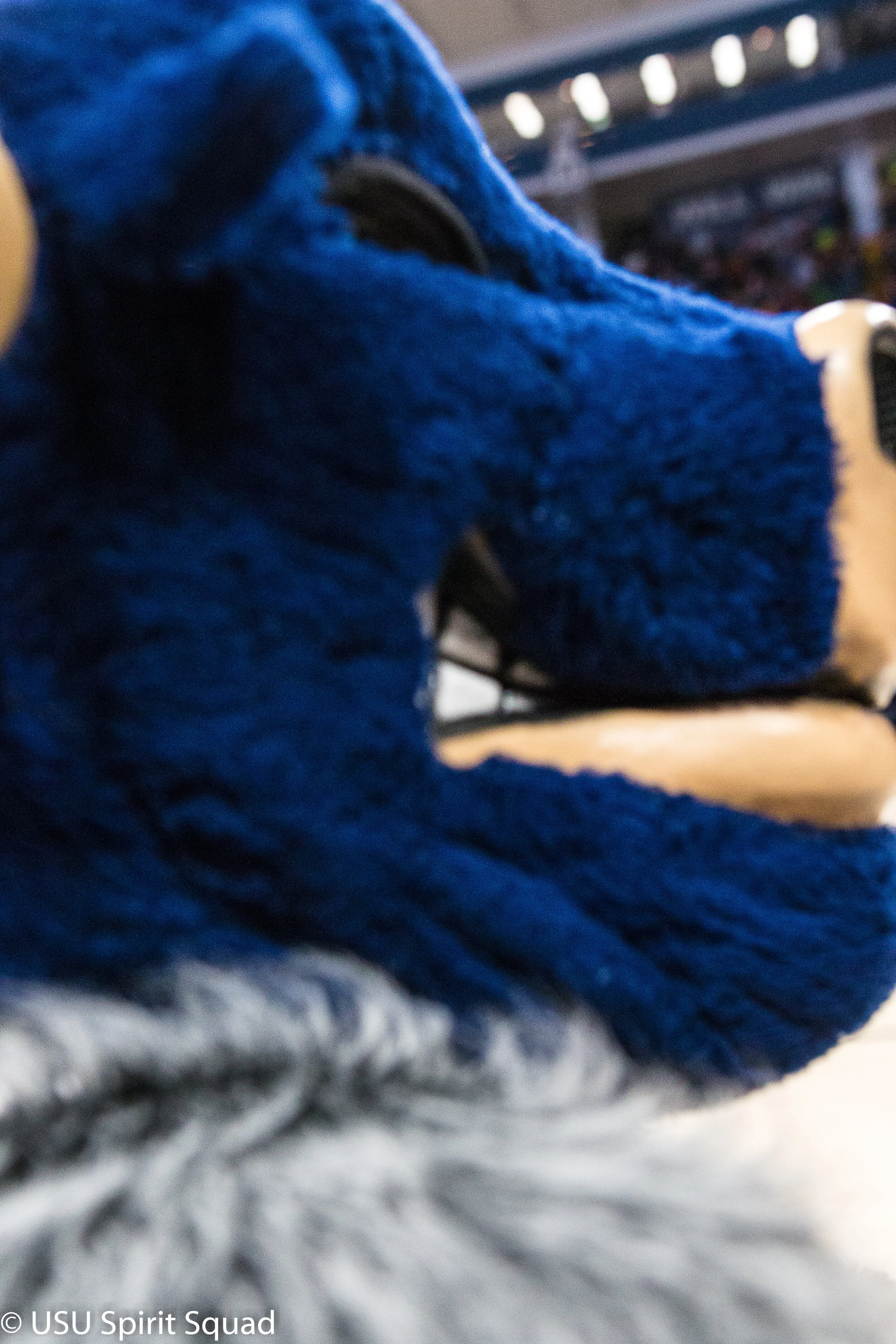 2019-2020_MBB_USUvsNevada (191 of 231).JPG