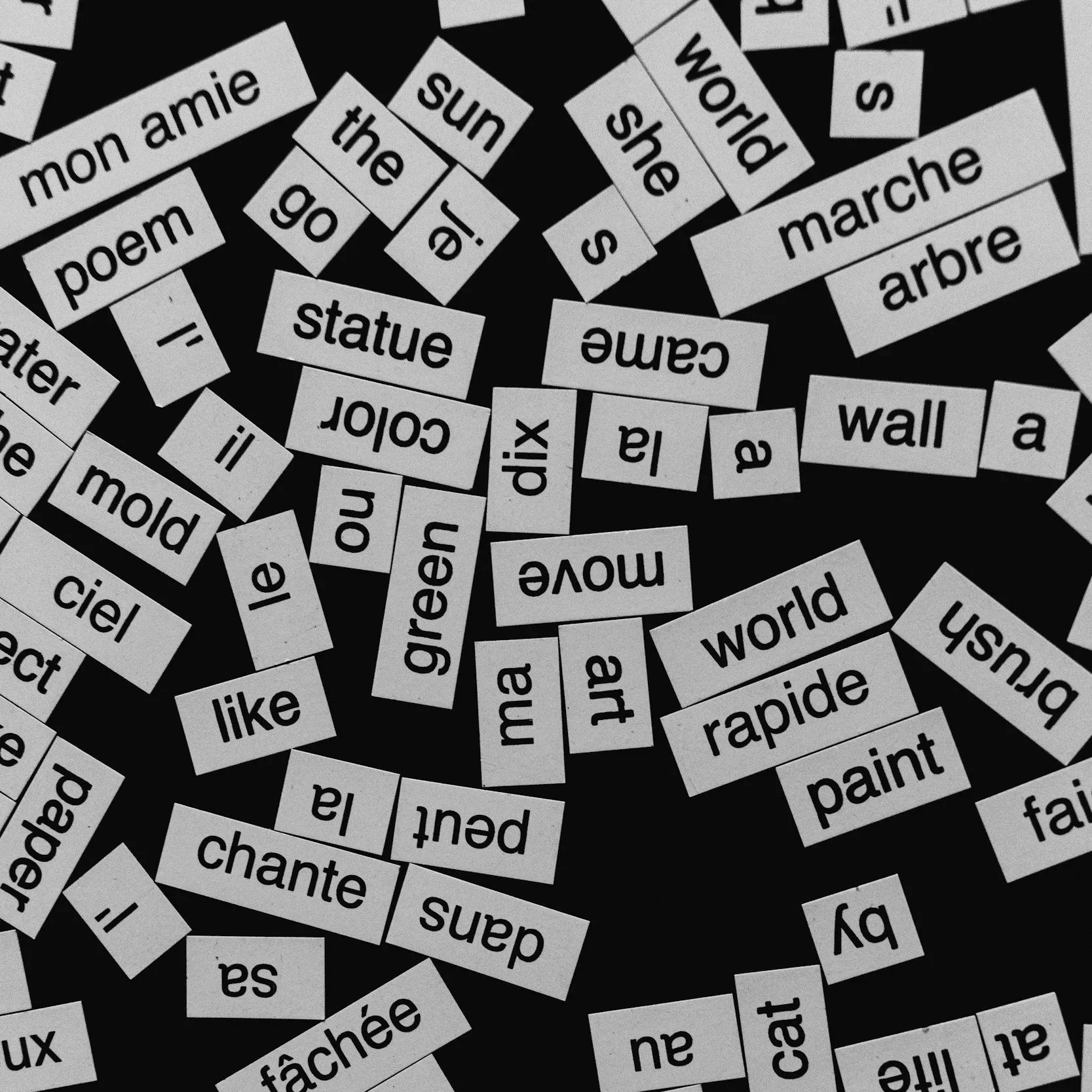 Consider This: Language and the Problem of Translation