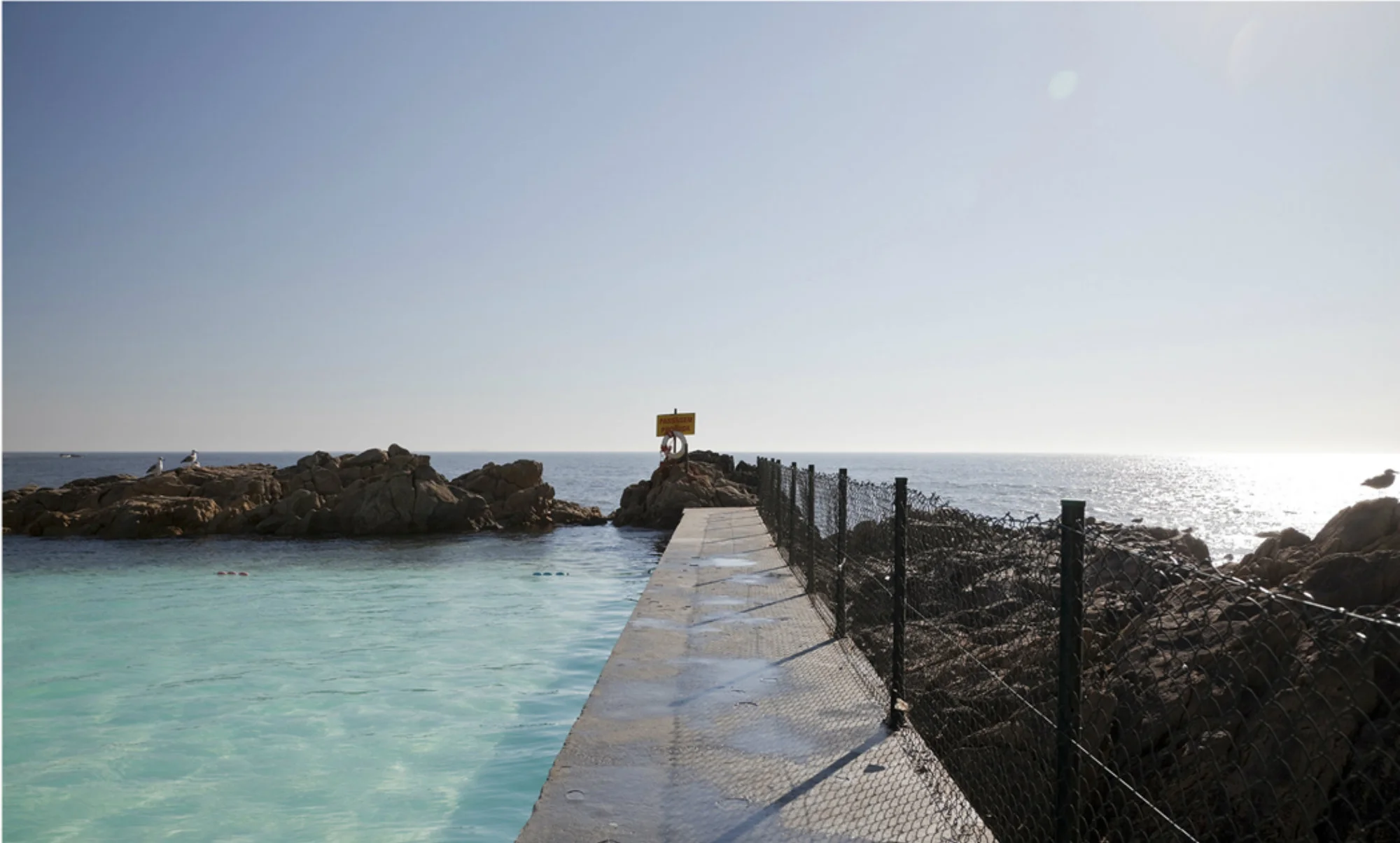 LeçadePalmeiraPools_archAlvaroSiza_photoMontseZamorano04.jpg