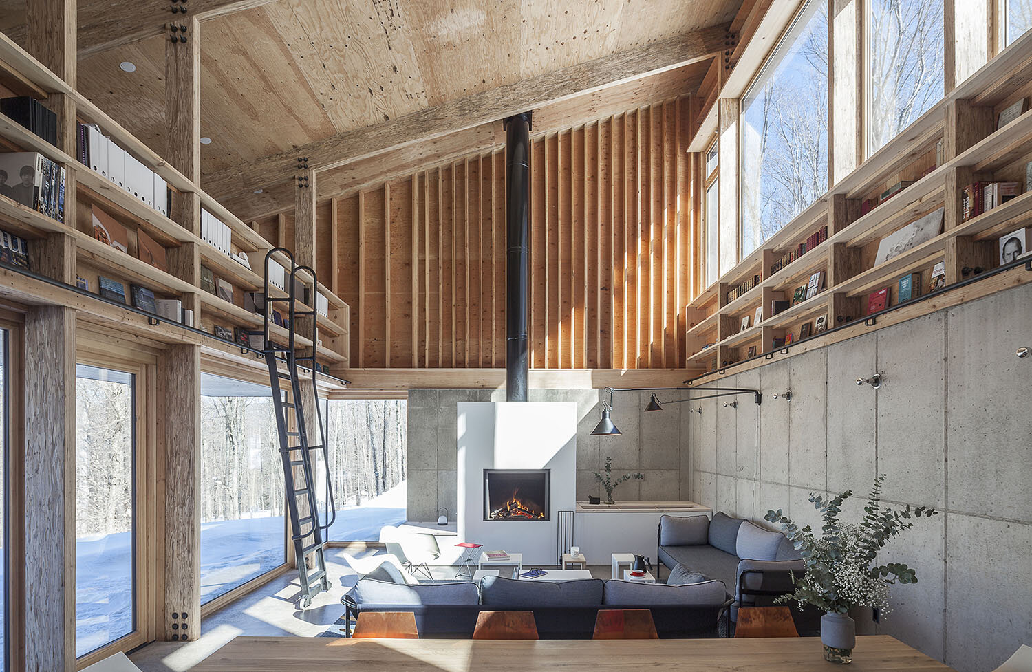  Camp O House in the Catskills by María Milans in New York, USA 