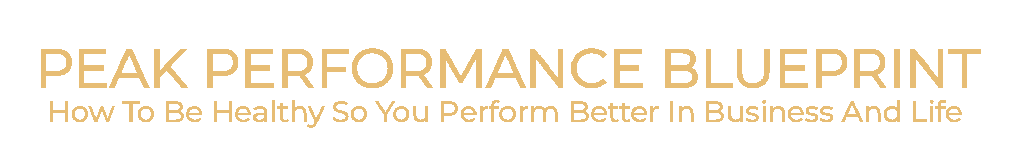 PEAK PERFORMANCE BLUEPRINT-logo (1).png