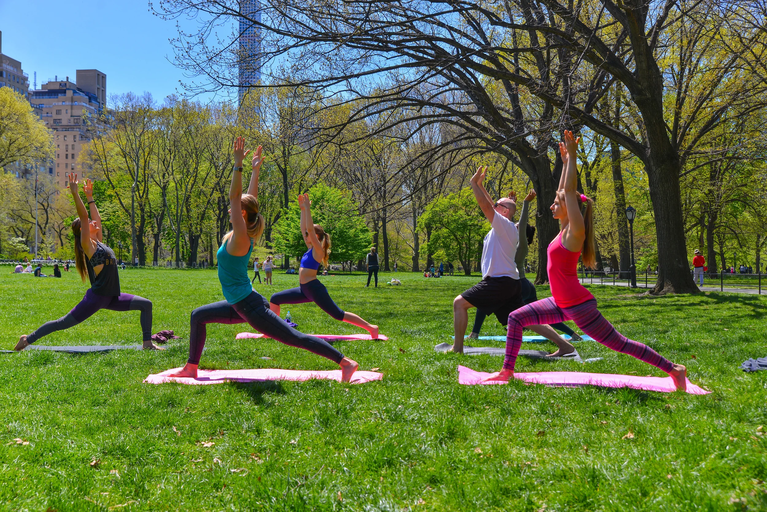 Penetrating Postures: The Science of Yoga