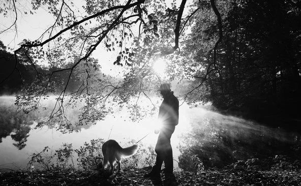 How Walking in Nature Changes the Brain