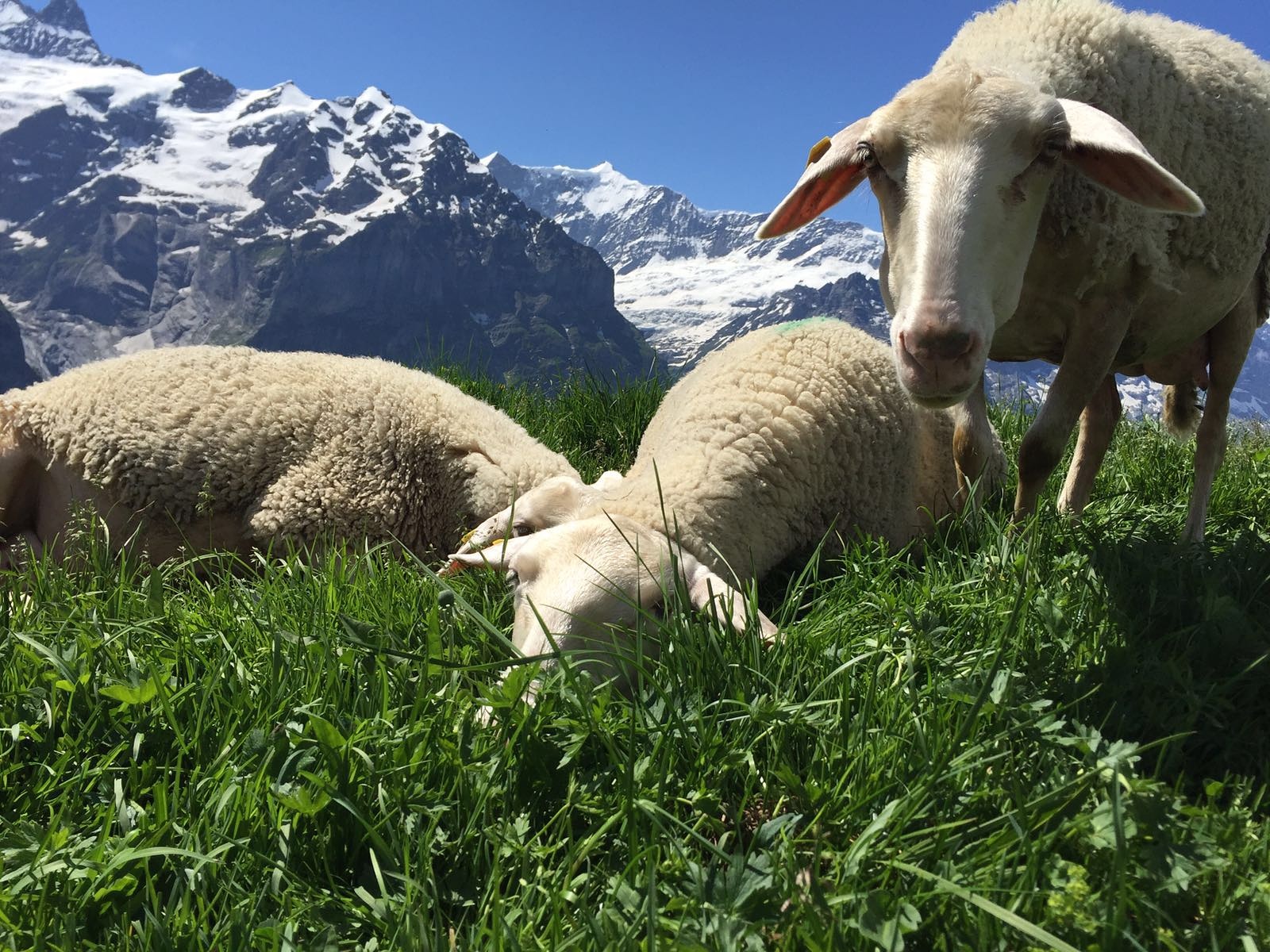 8 Natural Energy Boosters To Combat Tiredness