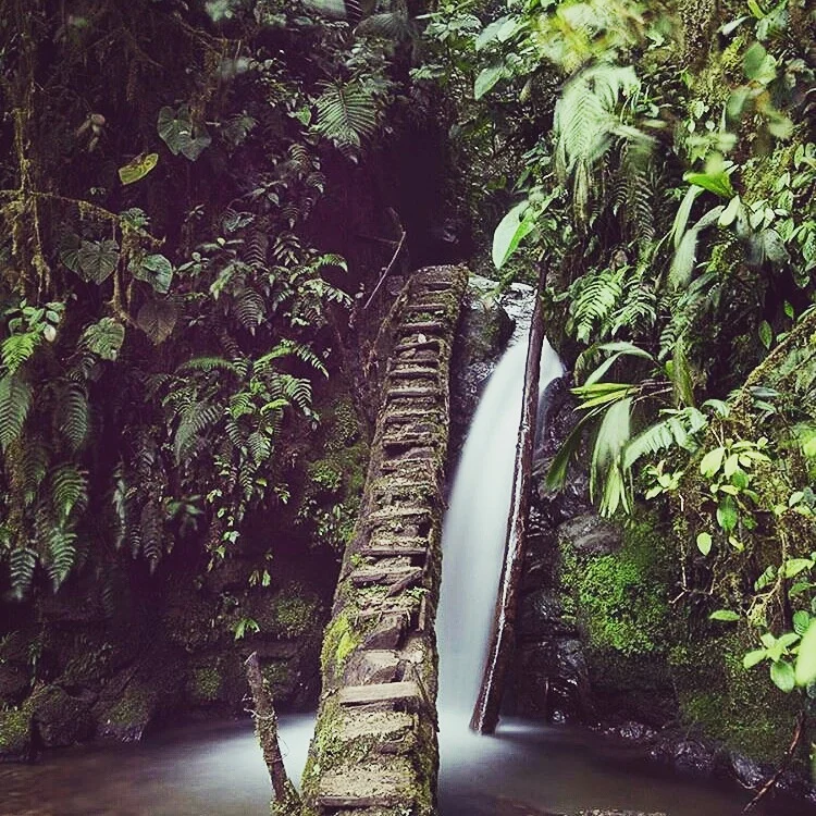 Photo by National Geographic Travel