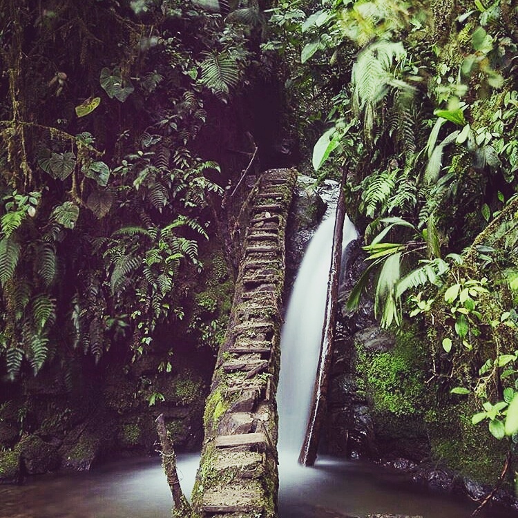 8 Myths about Yoga Retreats