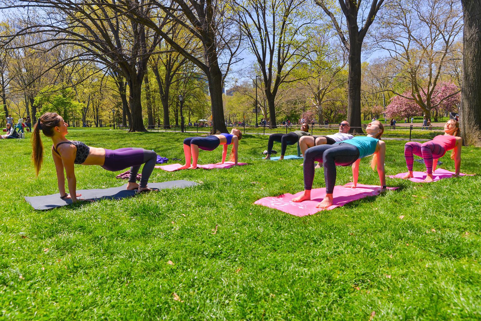 4 Recommendations for Outdoor Yoga Practice