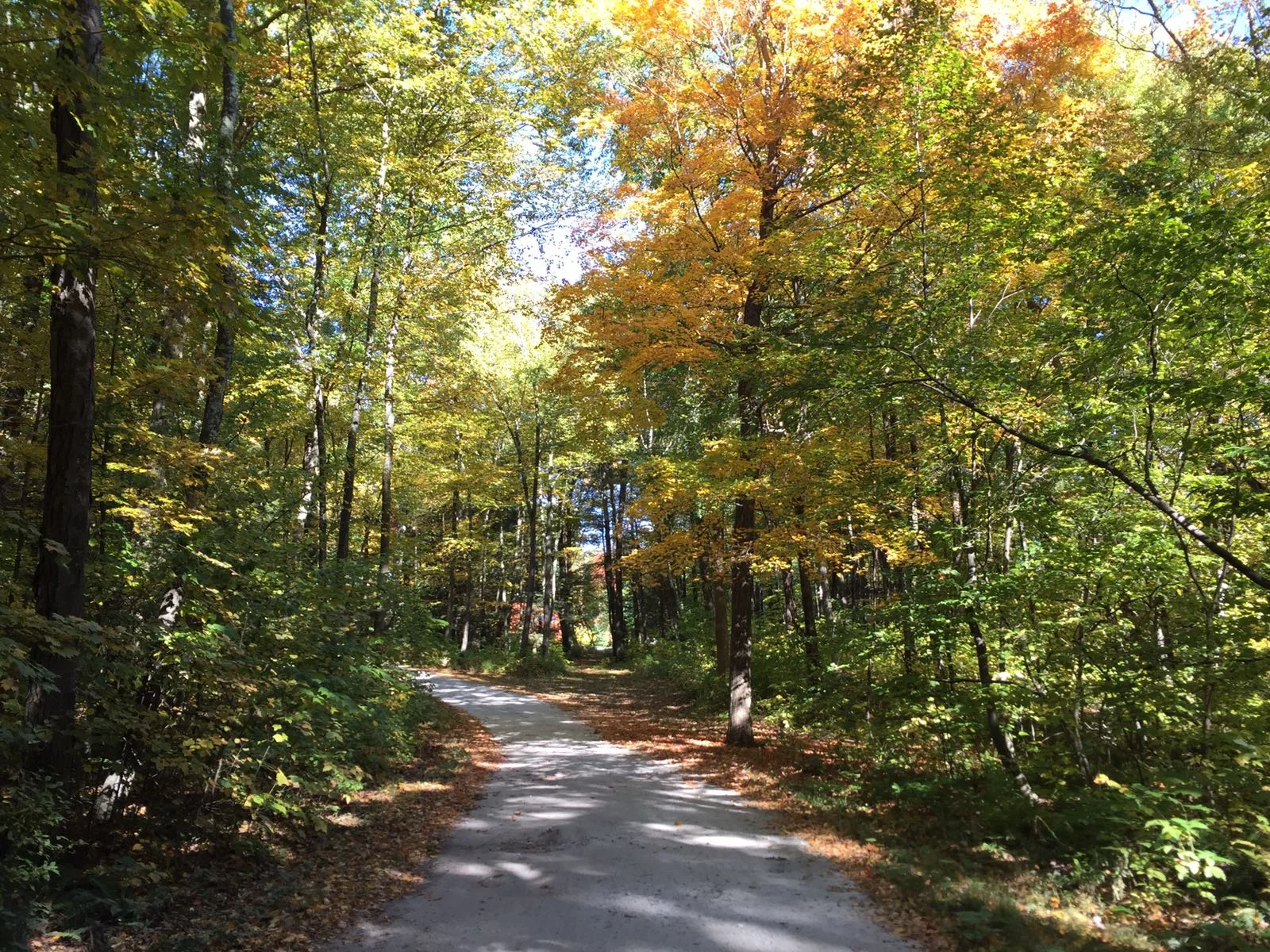 11 Easy Steps To Getting Centered