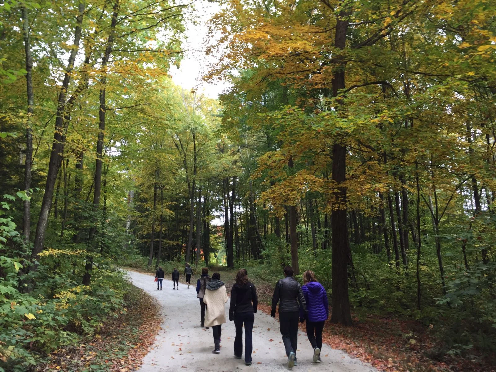 Proof That Hiking Makes You Happier And Healthier
