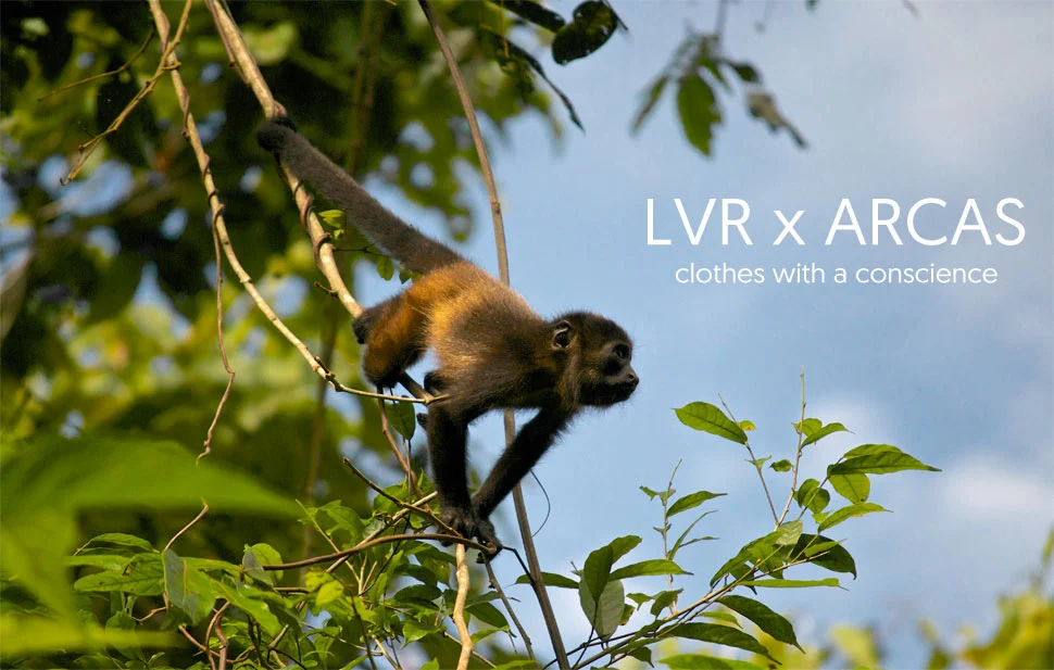 Time to Update Your Yoga Wardrobe with Vegan Clothing