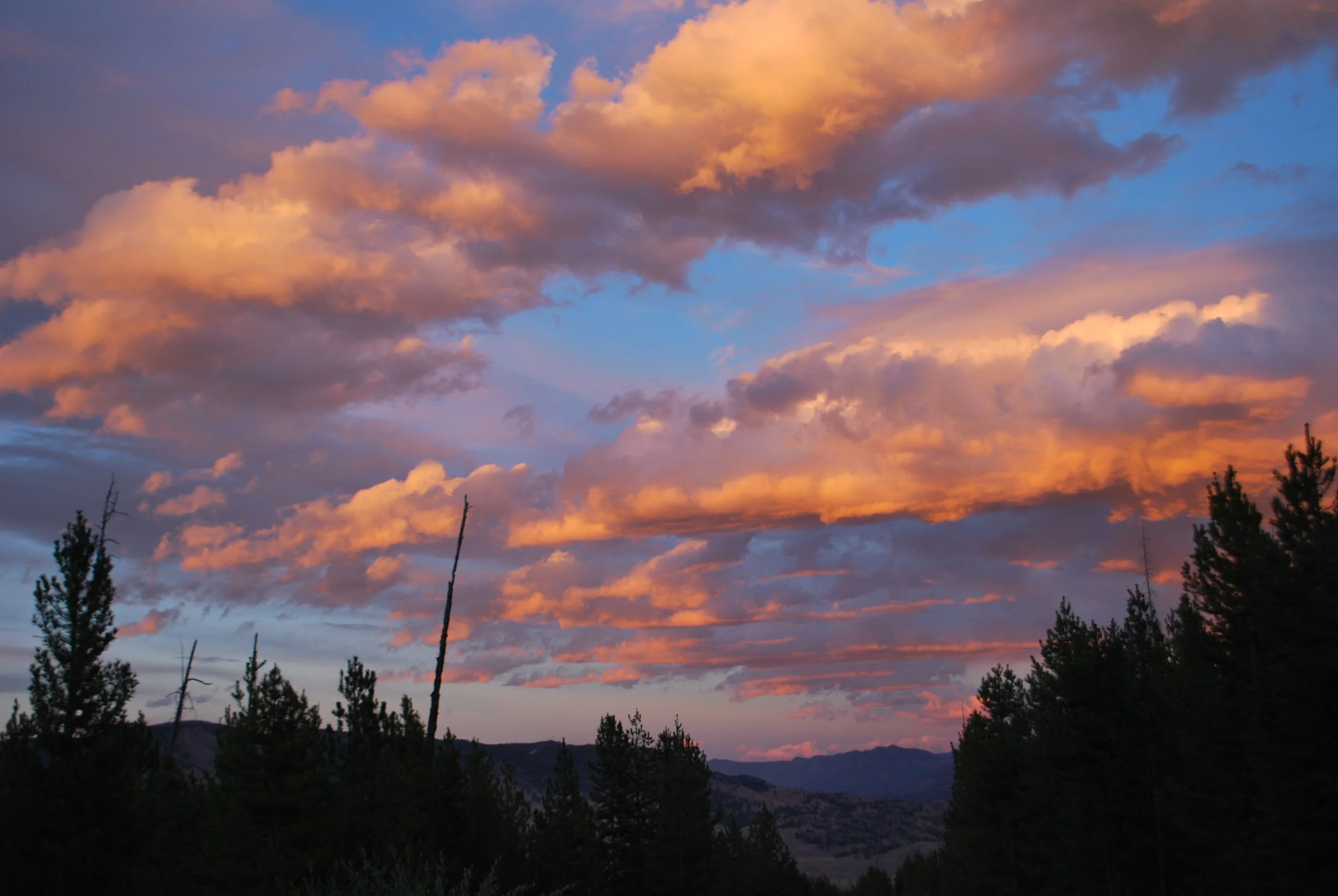 DSC_0309.jpg