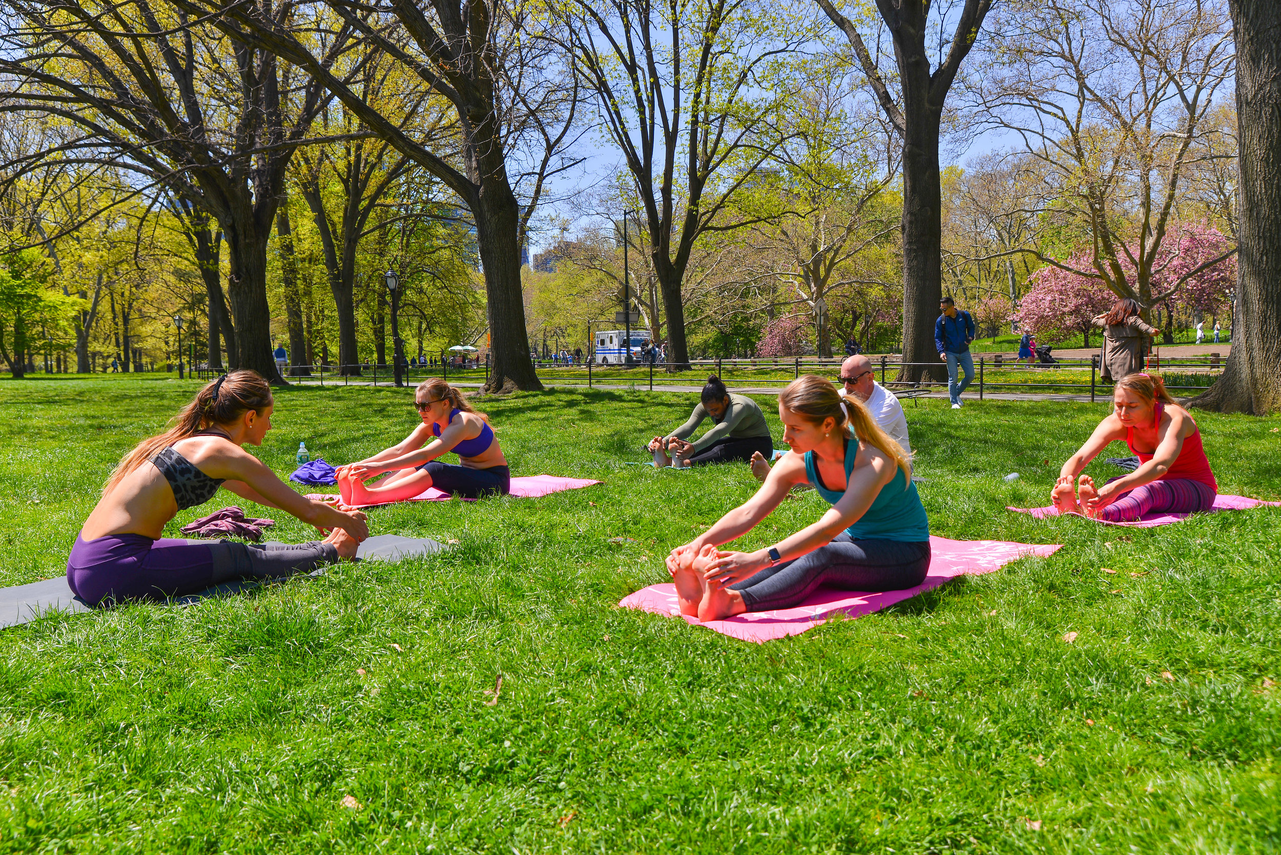 22/06/19 Yoga in Central Park + Live African Drums + Picnic