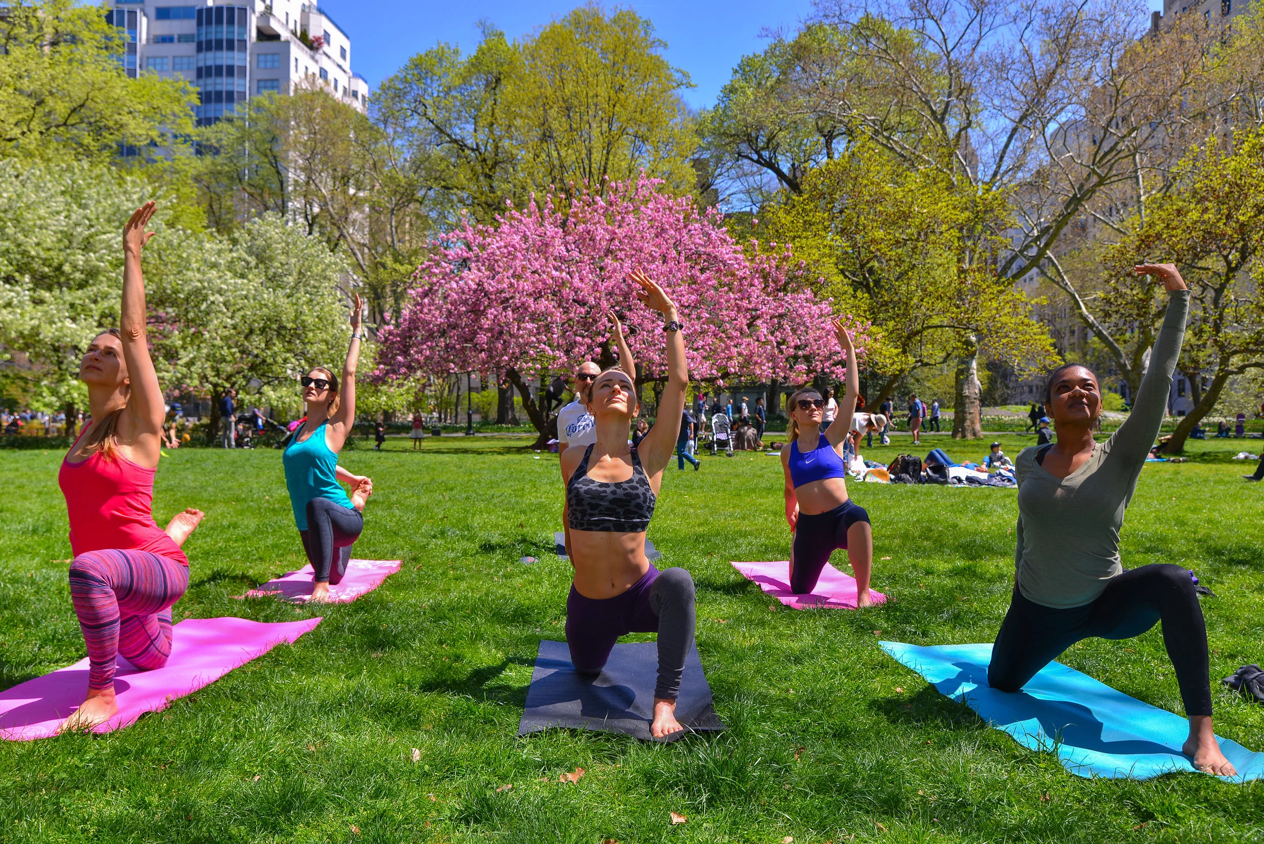 yogainthepark
