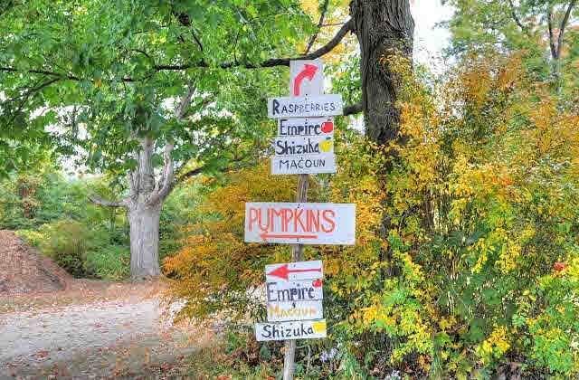 Hudson Valley Rose Hill Farm Pick Your Own Orchard