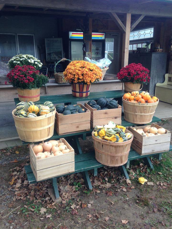 Hudson Valley Rose Hill Farm fruit stand