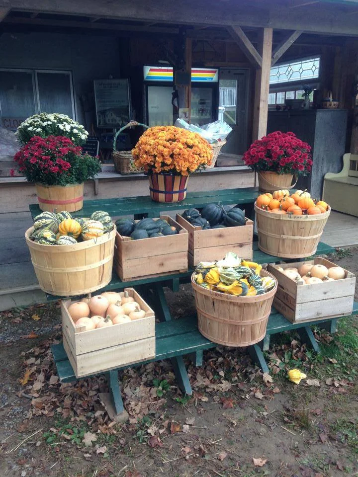 Fruit Schedule — Hudson Valley Apple Picking Orchard Rose Hill Farm