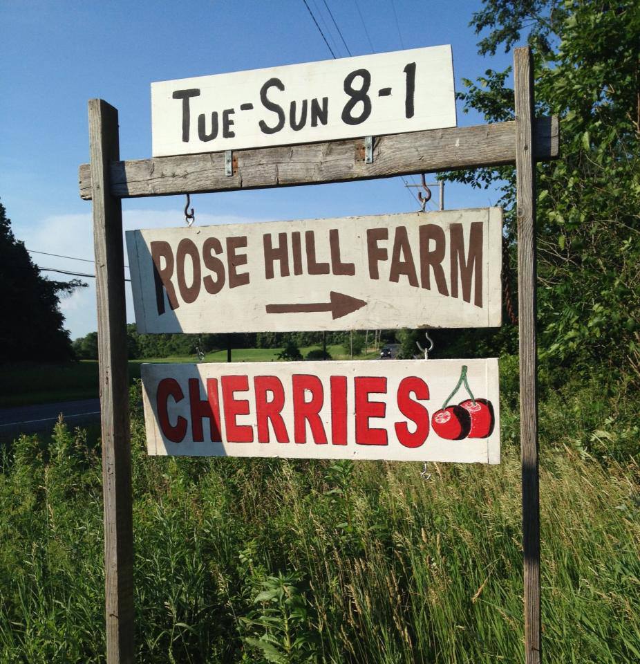 Hudson Valley Rose Hill Farm Pick Your Own Cherries