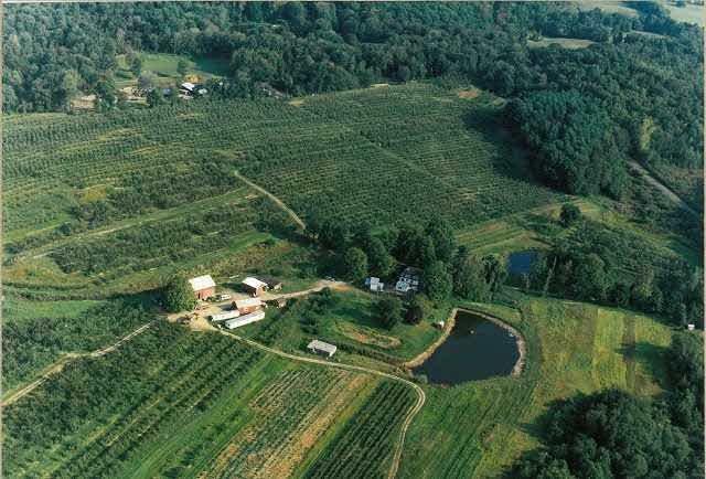 Rose Hill Farm Hudson Valley Apple Picking 