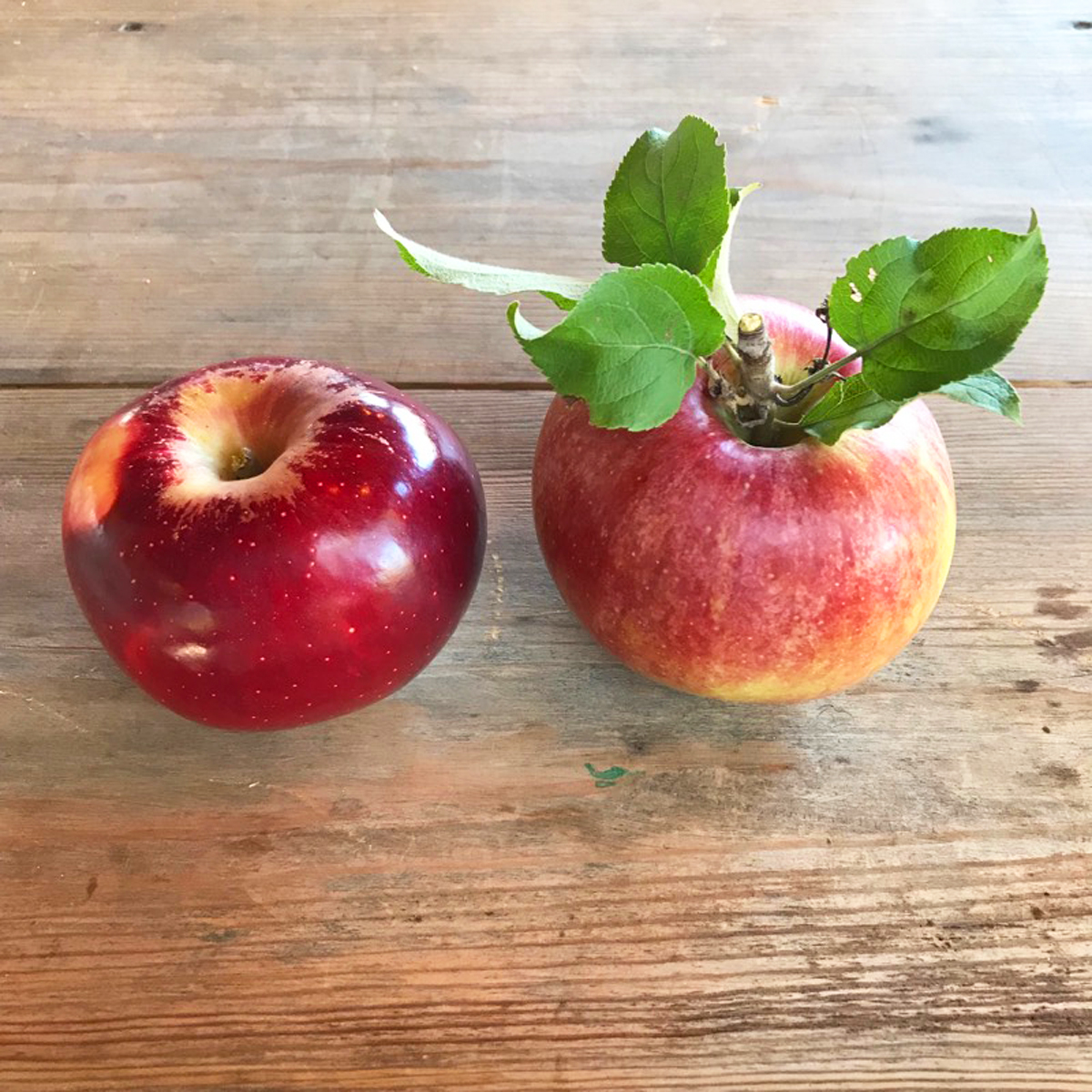 Fortune - New York Apple Association