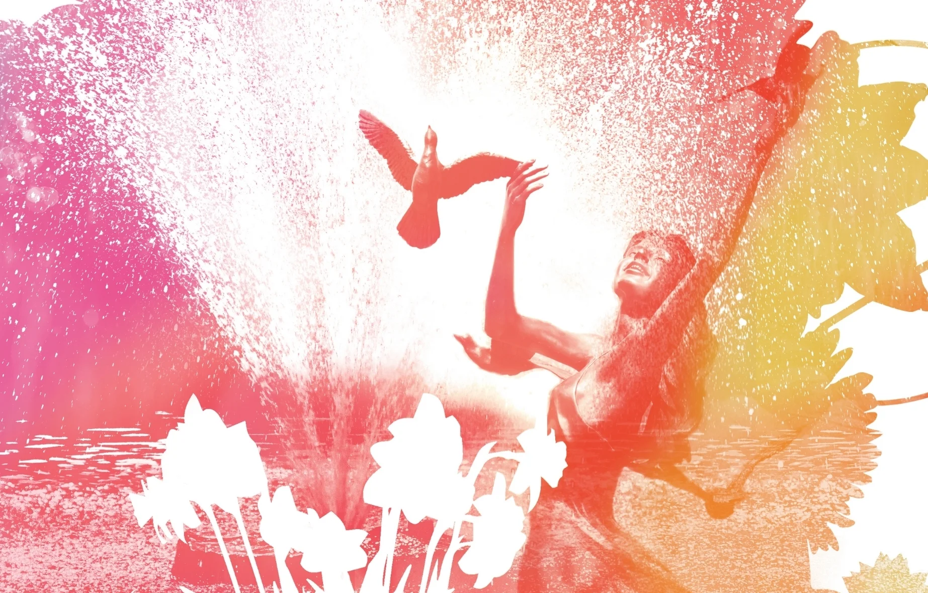 Pocketfolder back.jpg