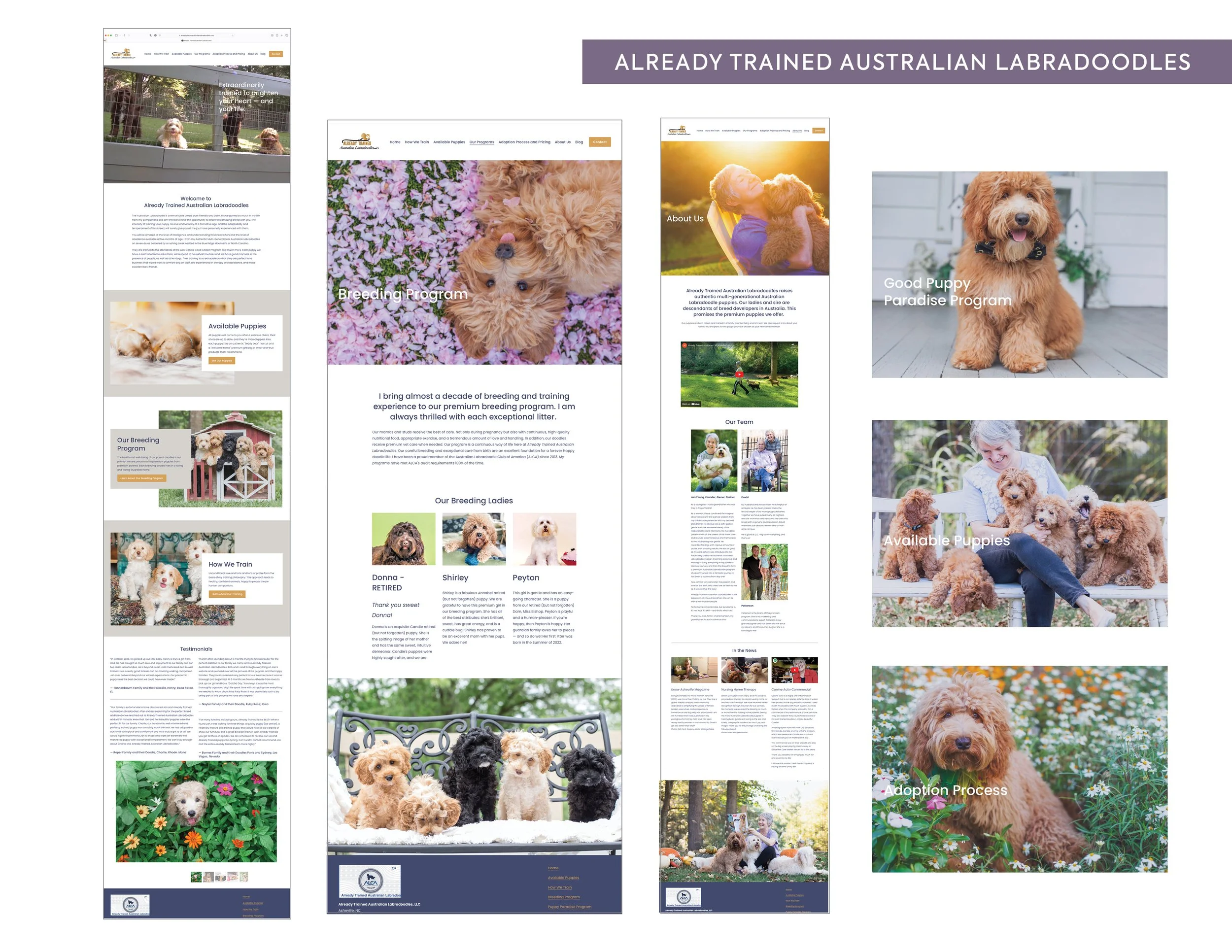 Portfolio Web Examples REV12.jpg