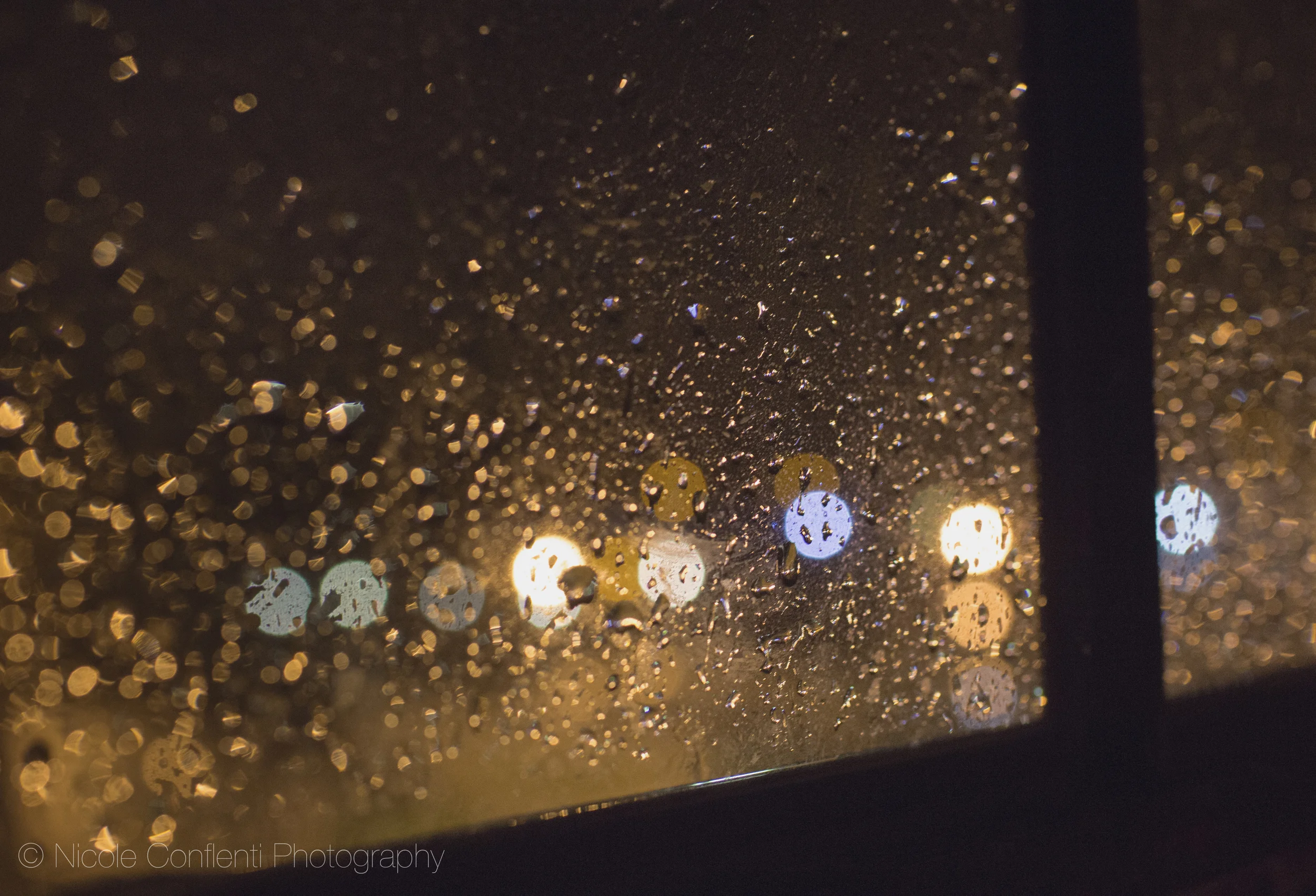 IMG_2782(2)(w).jpg