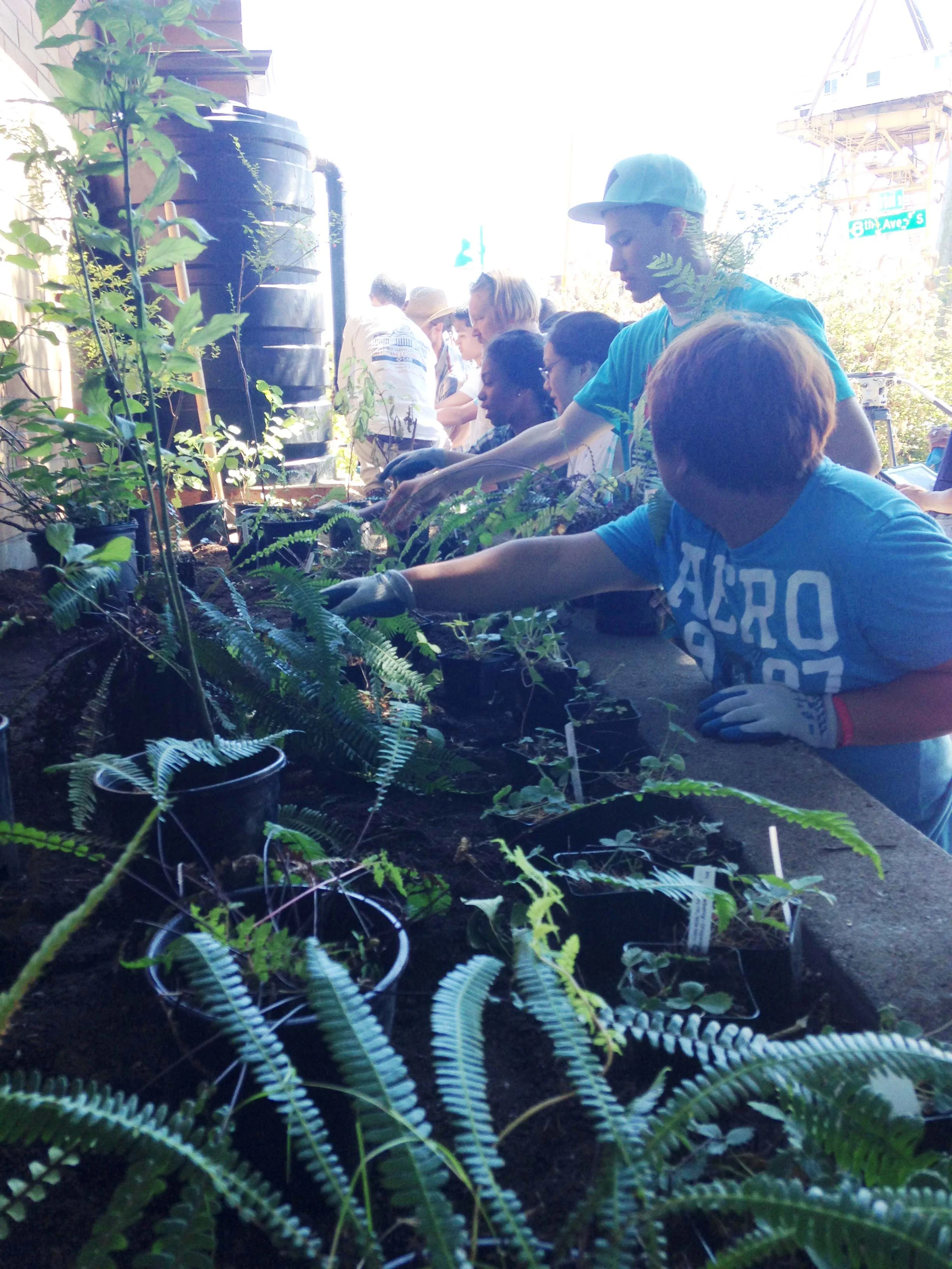 2014-07-29 12.14.13.jpg