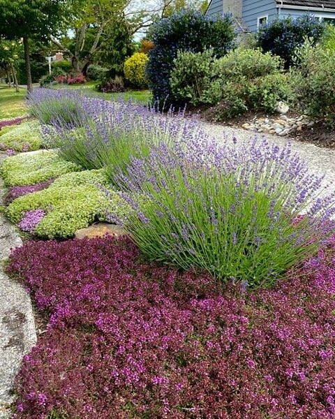 Happy happy Friday!🥳 We hope you enjoy the sunshine today, and have a wonderful, beautiful weekend.🌞
⠀⠀⠀⠀⠀⠀⠀⠀⠀
This used to be just a front lawn parking strip, part of a project where the front lawn was also removed and replaced with a beautiful ra