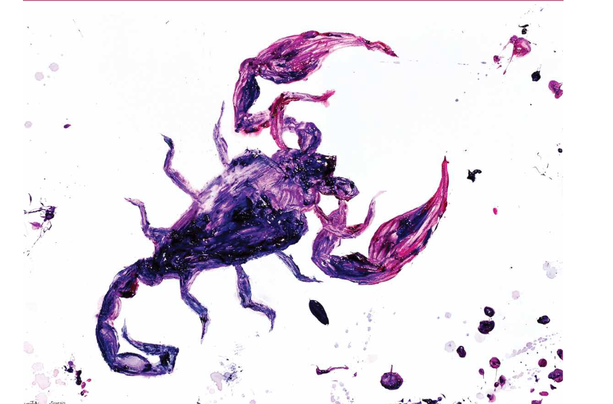 Cassy Tully Scorpio Zodiac Sign Canvas Print Purple