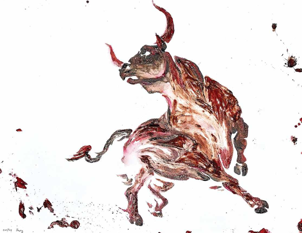 Cassy Tully Taurus Zodiac Sign Canvas Print Red Bull