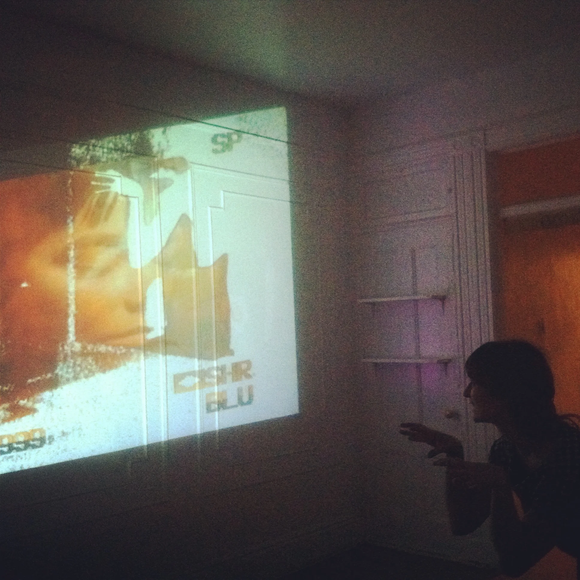  Live visuals for house party. Live camera allowed people to project their silhouettes onto wall projections.&nbsp;  House party //&nbsp;Brooklyn NY //&nbsp;Dec 2014 
