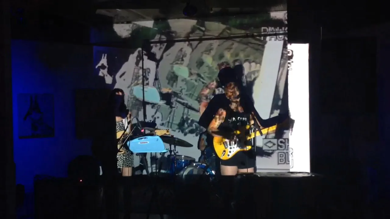  Short video clip of projections done for Pony Farm  The Mammal Gallery //&nbsp;Atlanta GA // July 2015 