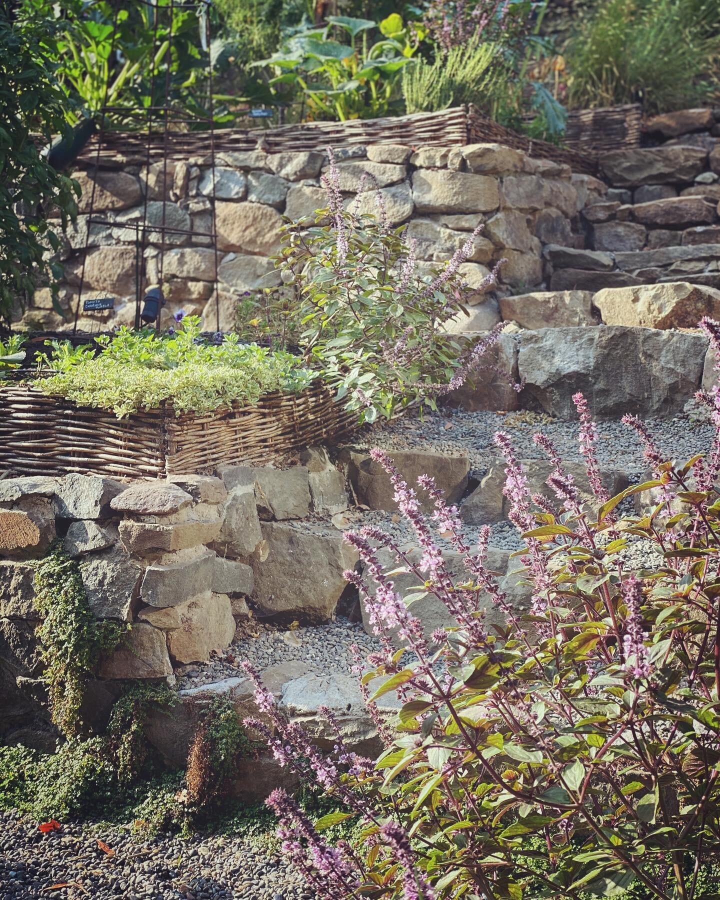 There&rsquo;s something lovely about stacked and wonky rocks. The team that laid this wall were seasoned landscapers not master masons. I have always been fond of how the imperfections of their craft made for a more characterful, aged and charming wa