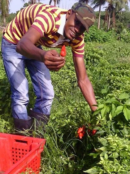 Agropreneur Incubation