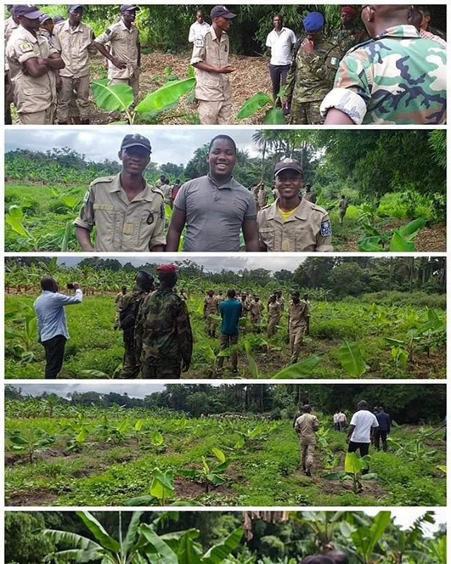Formation Agents #SCAD #AgriHubKindia
Séance de visite des plantations de bananes des stagiaires du centre SCAD à Kindia.
#DaretoInnovate #OsezInnover #Guinee #IncubateurSocial #incubateur