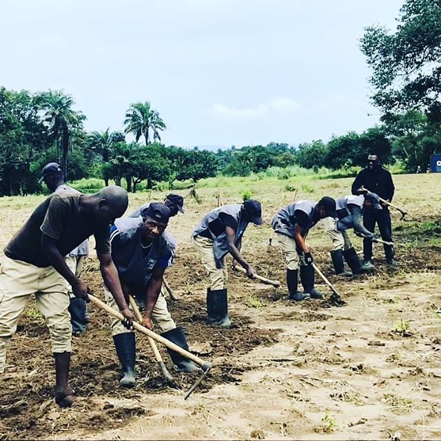 Notre plus grande satisfaction est d'avoir r&eacute;ussi &agrave; rendre fi&egrave;re ces jeunes de pratiquer sans complexe l'agriculture &eacute;cologique.

En effet, en Guin&eacute;e et dans beaucoup de pays africains,  retourner &agrave; la terre 