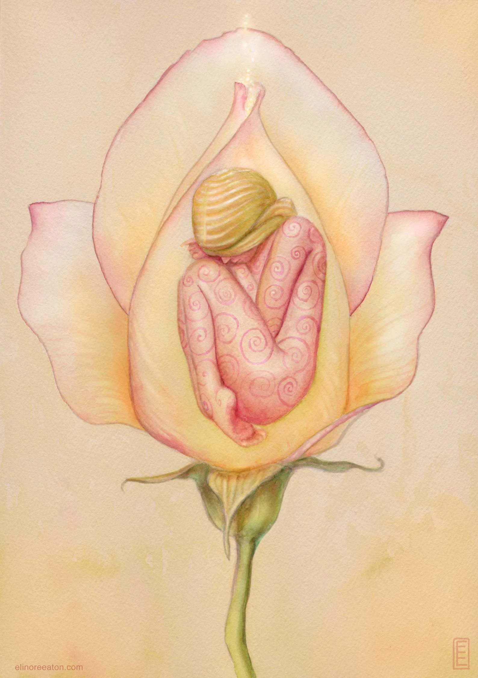 PeaceRose_PAINT_WEB.jpg