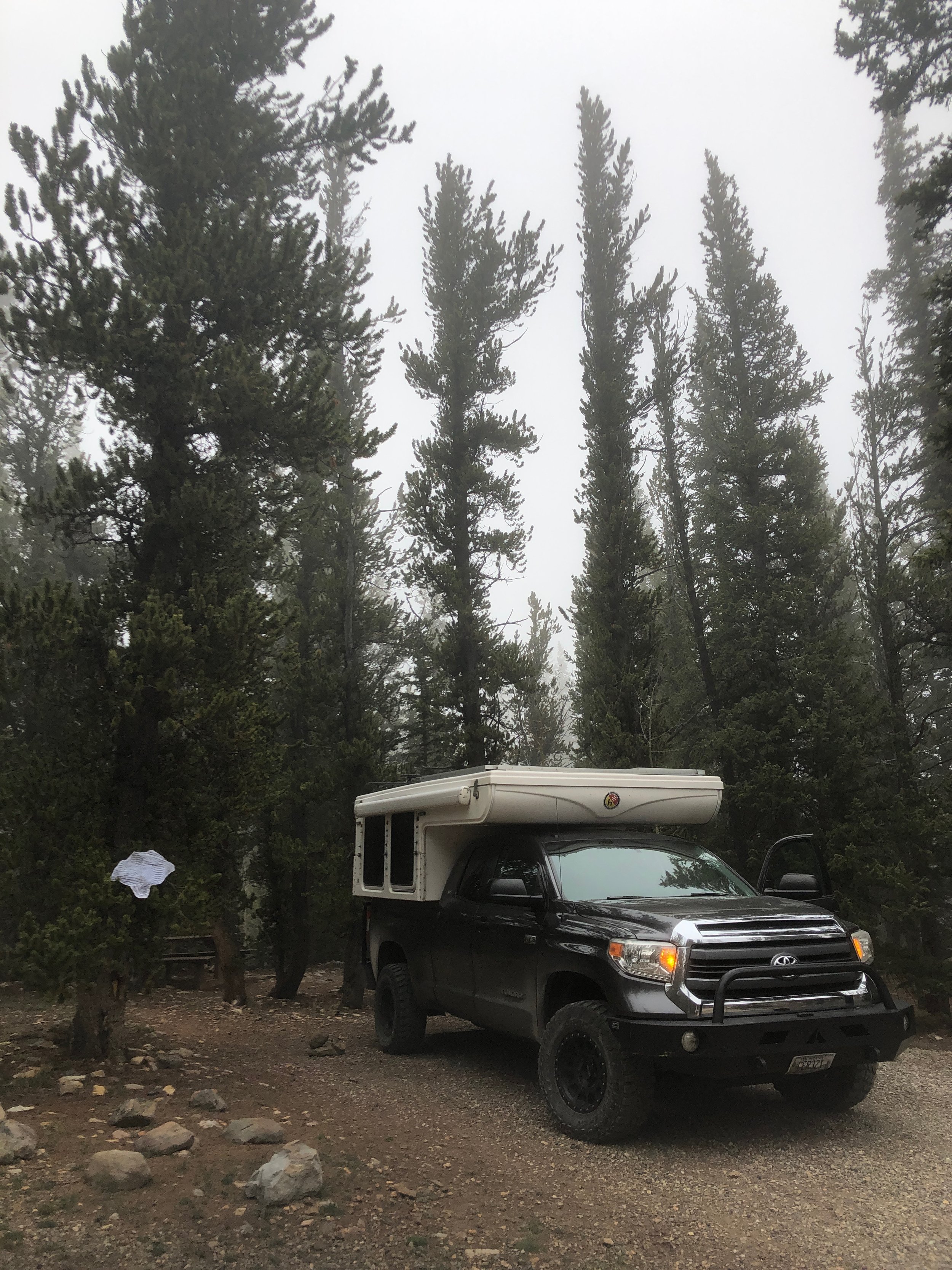 I Know the Path Well Enough