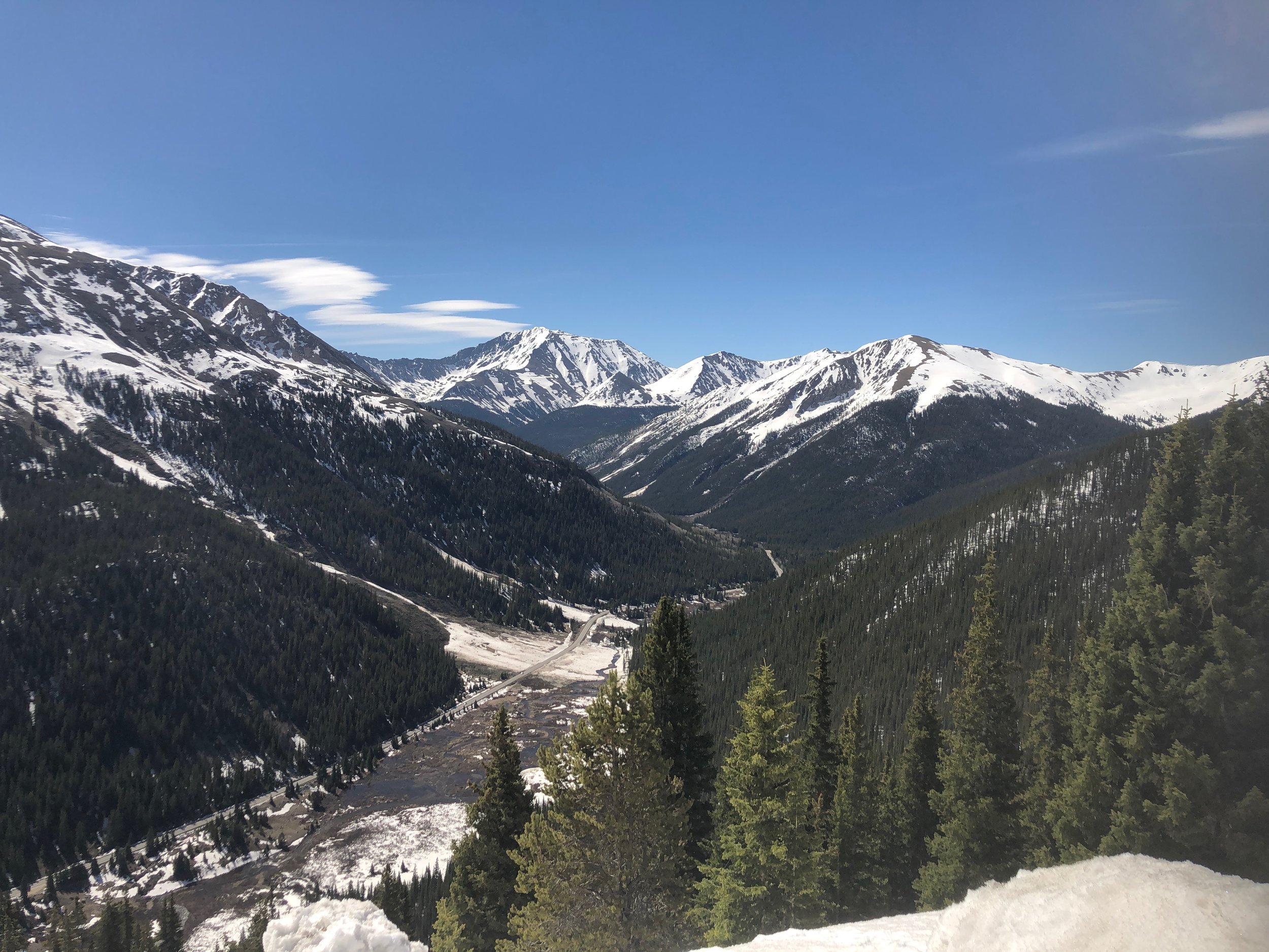 Whose Idea Was This Anyway?