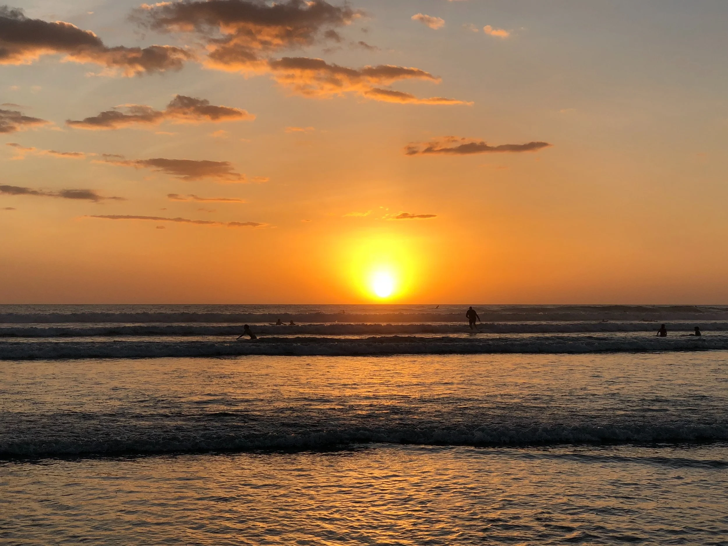 bodhi - guiones sunset.JPG