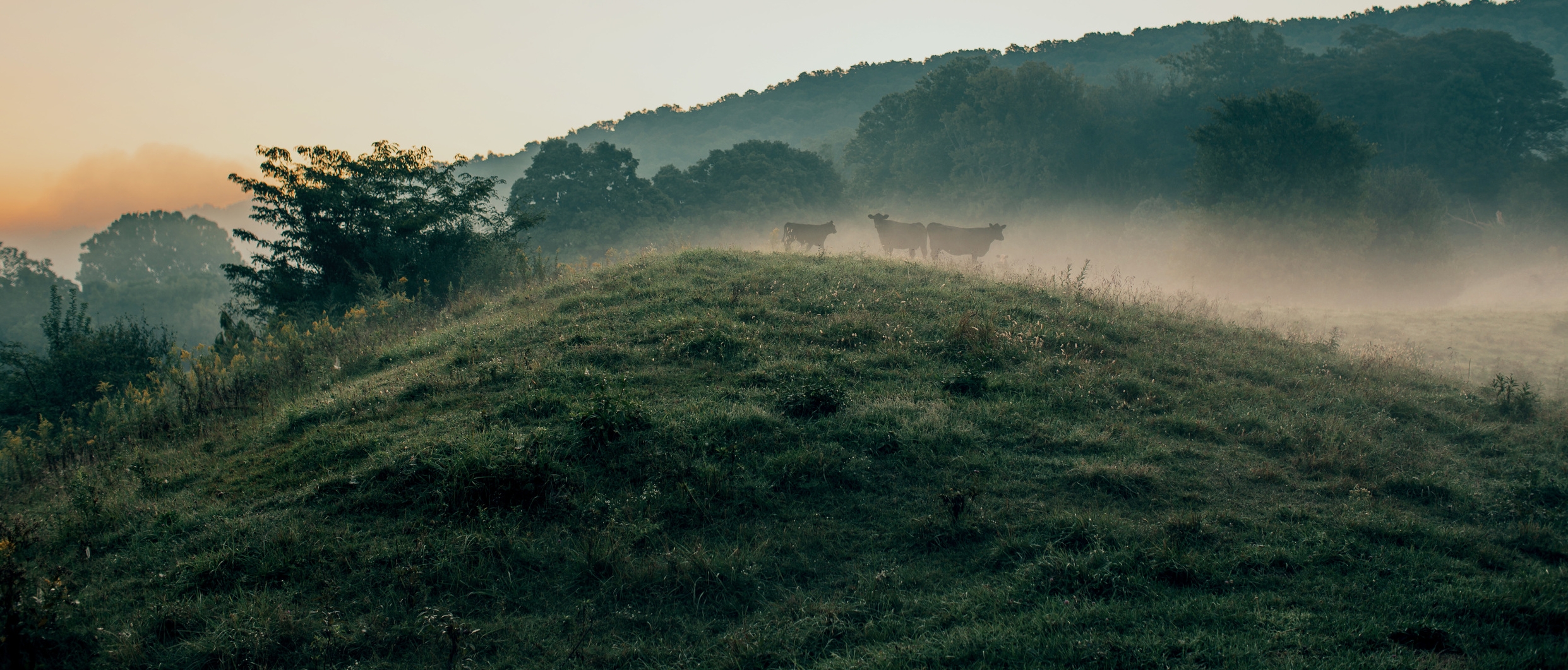 Death_to_stock_photography_farm_3-ed3.jpg