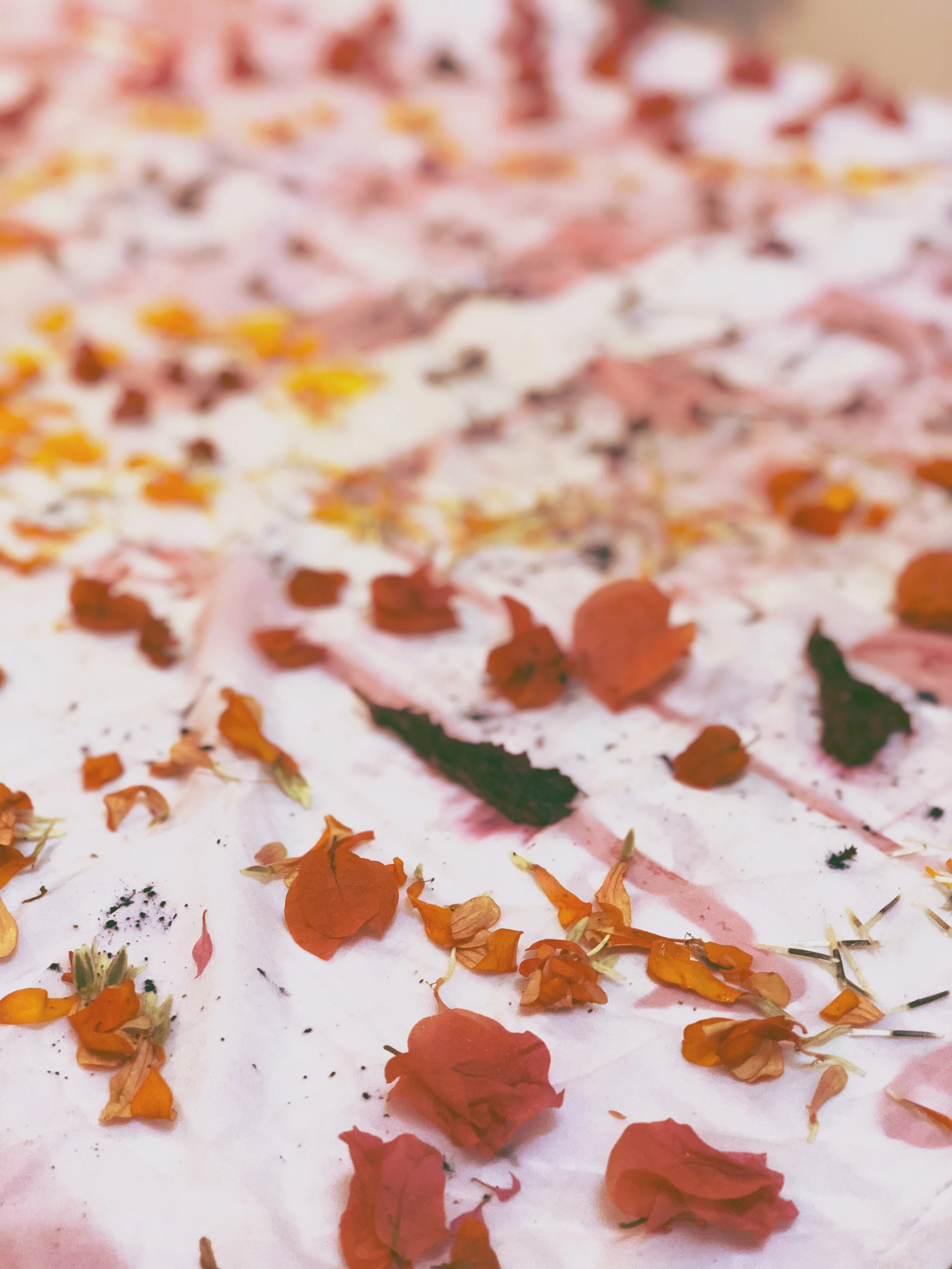 AfterlightImage 2.JPG