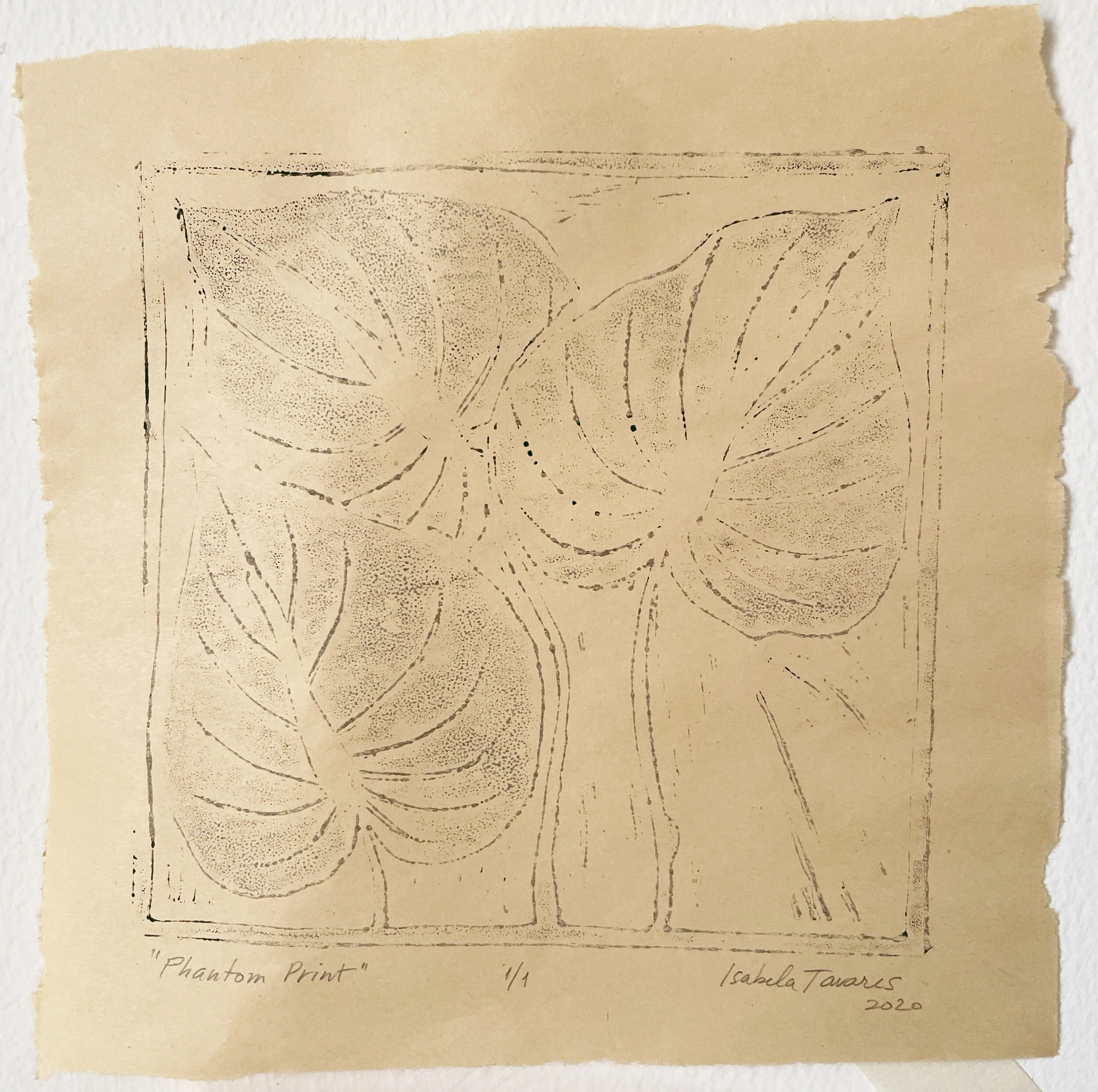 AfterlightImage 10.JPG