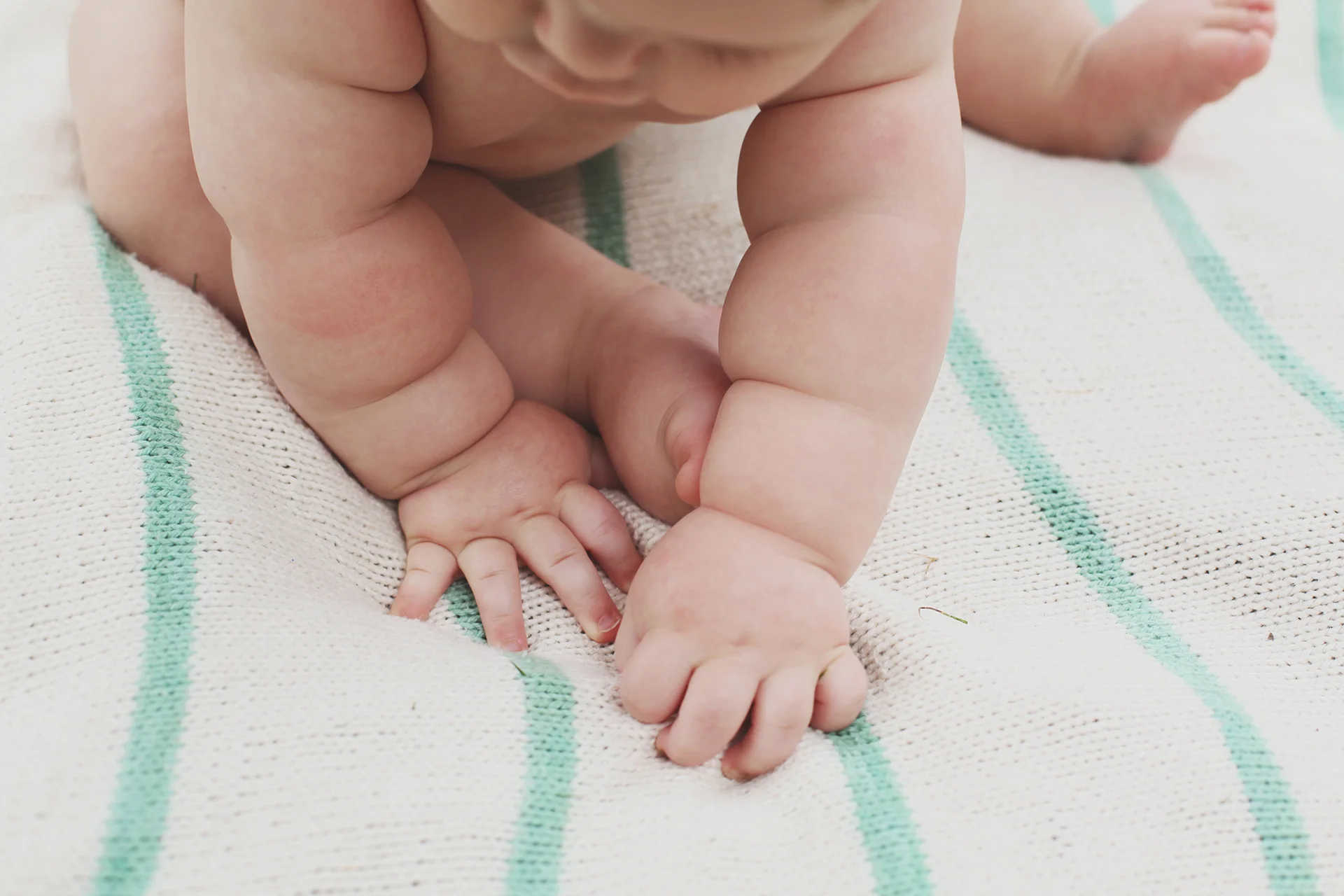 Arlo #109.jpg