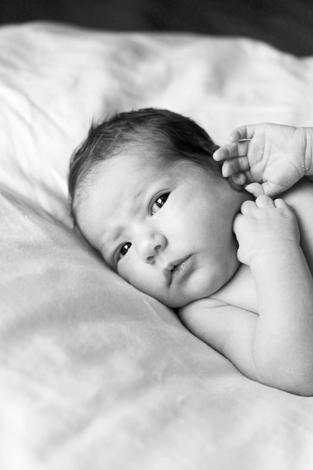 Elise James #16.jpg