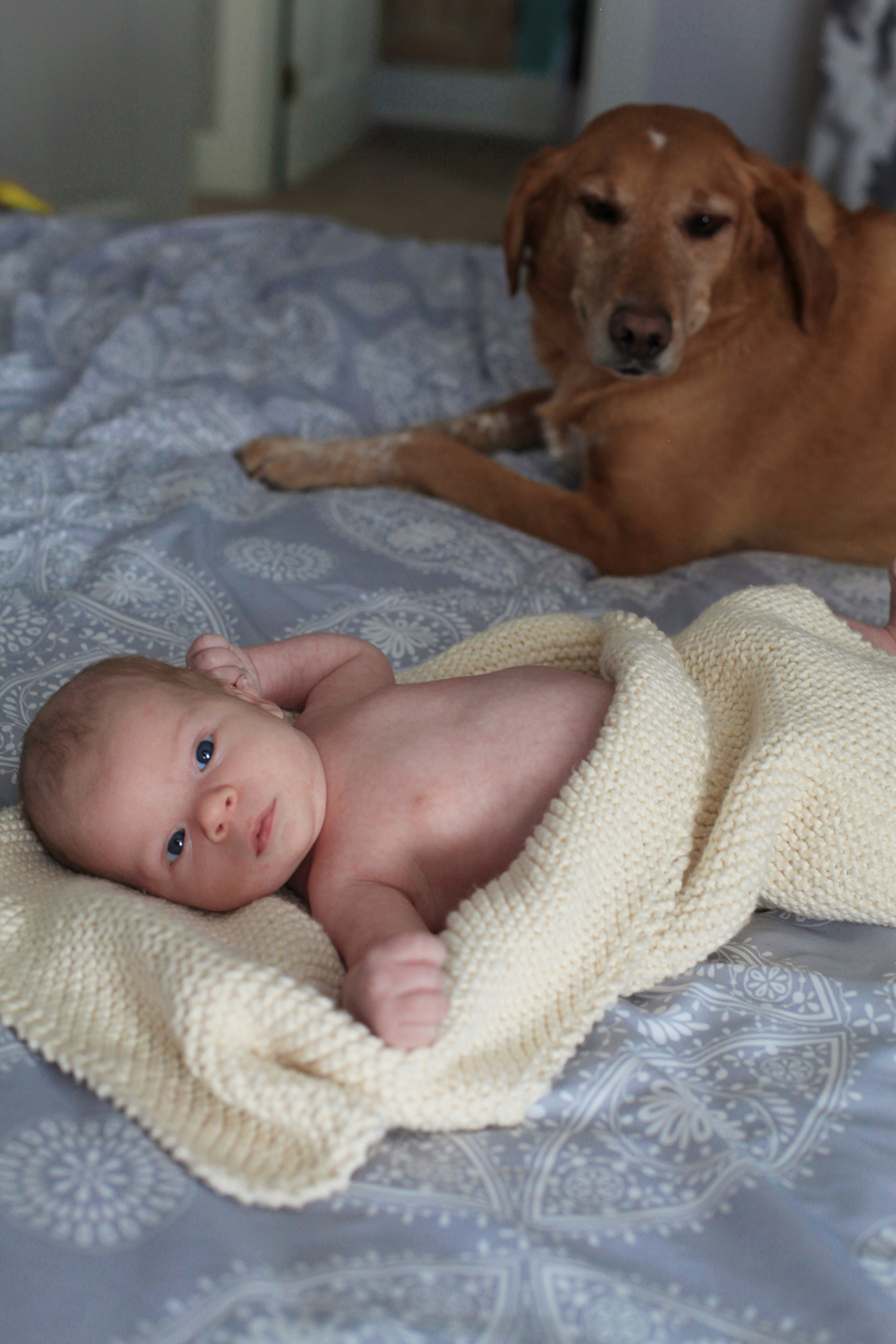 Baby Eli #16.jpg
