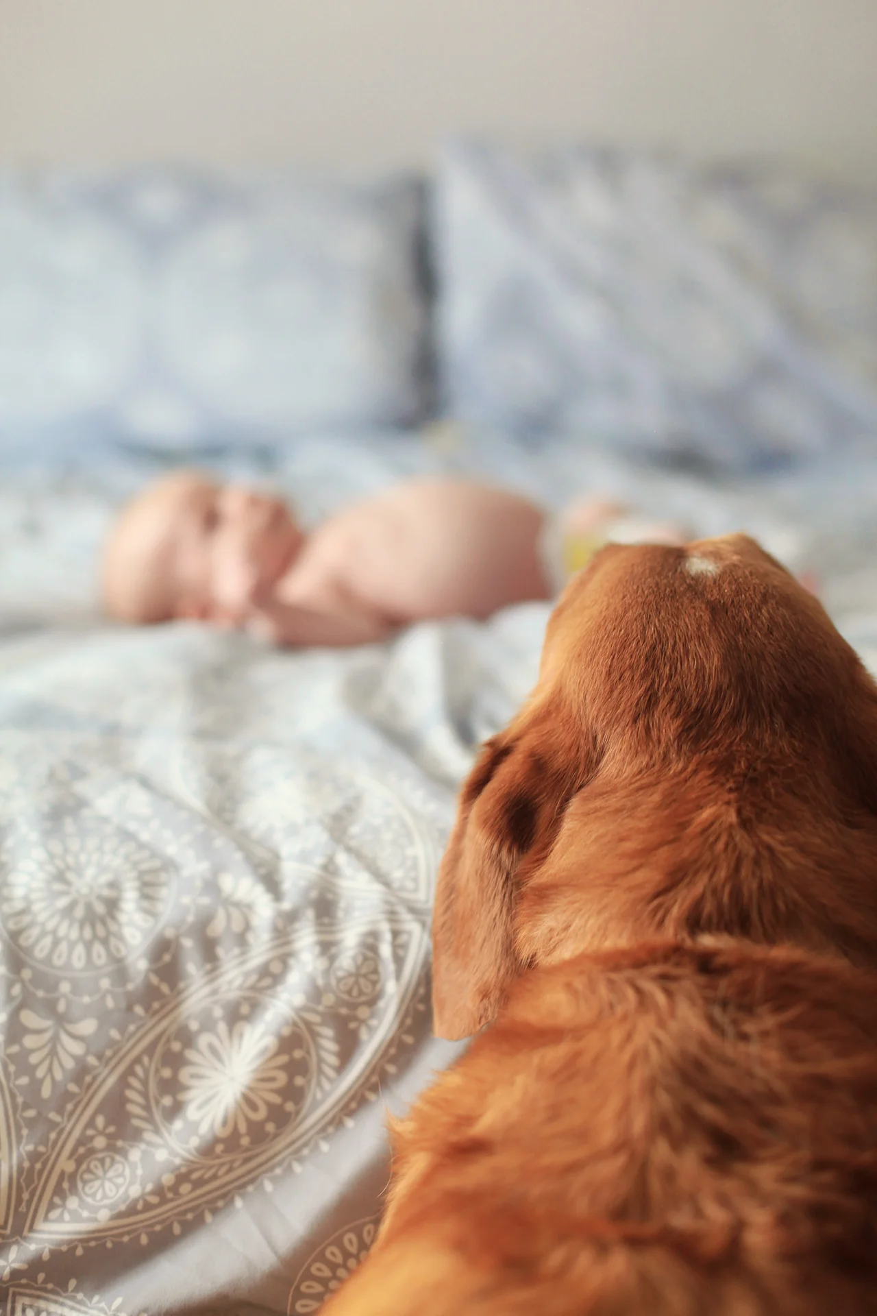 Baby Eli #49.jpg