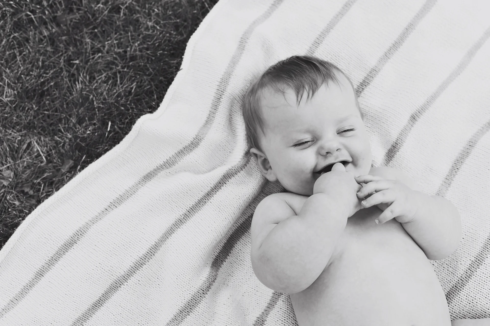 Arlo #102.jpg